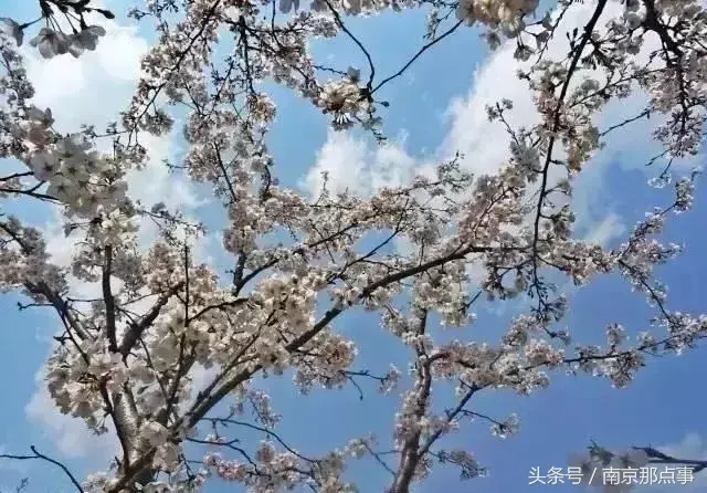 江宁黄龙岘旅游攻略_江宁黄龙岘旅游攻略_江宁黄龙岘旅游攻略