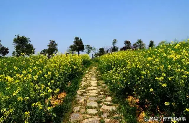 江宁黄龙岘旅游攻略_江宁黄龙岘旅游攻略_江宁黄龙岘旅游攻略