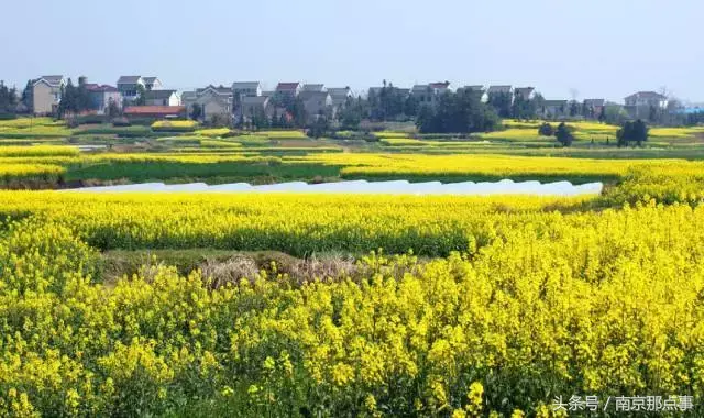 江宁黄龙岘旅游攻略_江宁黄龙岘旅游攻略_江宁黄龙岘旅游攻略
