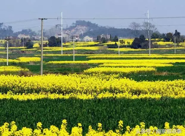 江宁黄龙岘旅游攻略_江宁黄龙岘旅游攻略_江宁黄龙岘旅游攻略