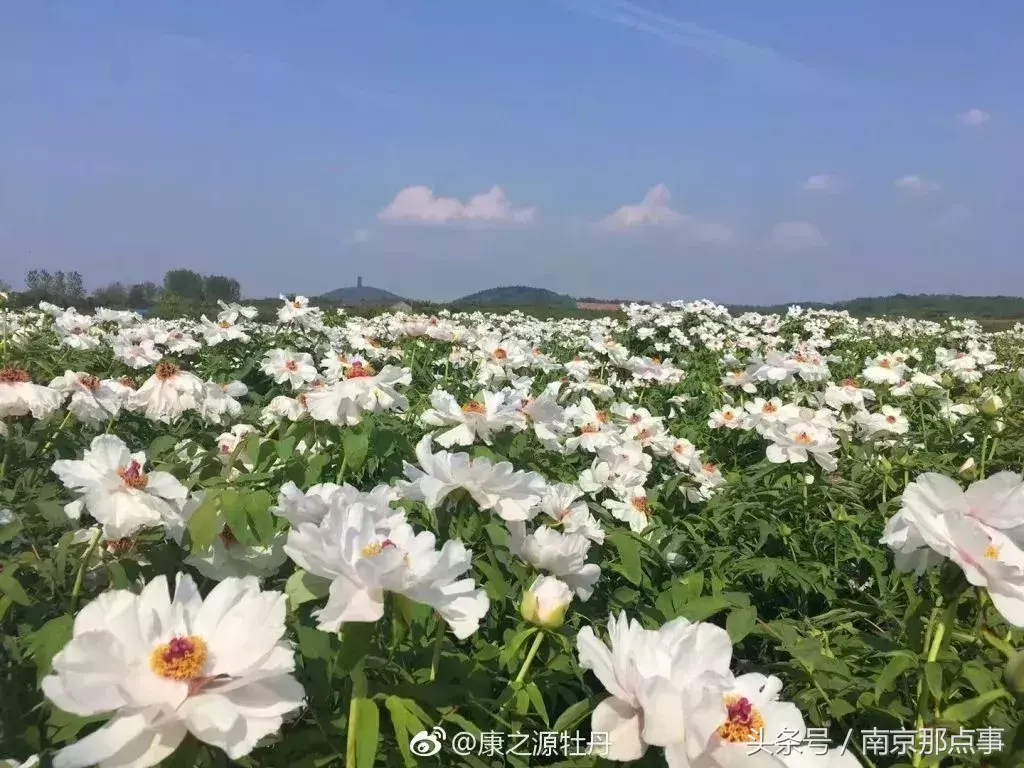 江宁黄龙岘旅游攻略_江宁黄龙岘旅游攻略_江宁黄龙岘旅游攻略