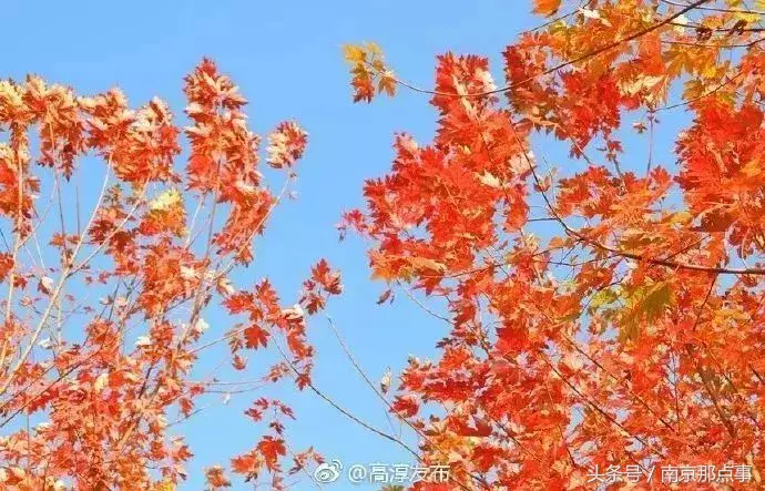 江宁黄龙岘旅游攻略_江宁黄龙岘旅游攻略_江宁黄龙岘旅游攻略