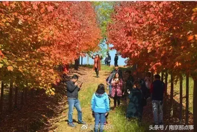 江宁黄龙岘旅游攻略_江宁黄龙岘旅游攻略_江宁黄龙岘旅游攻略