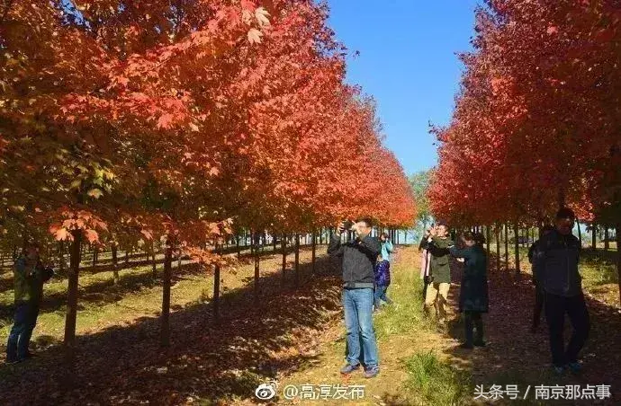 江宁黄龙岘旅游攻略_江宁黄龙岘旅游攻略_江宁黄龙岘旅游攻略