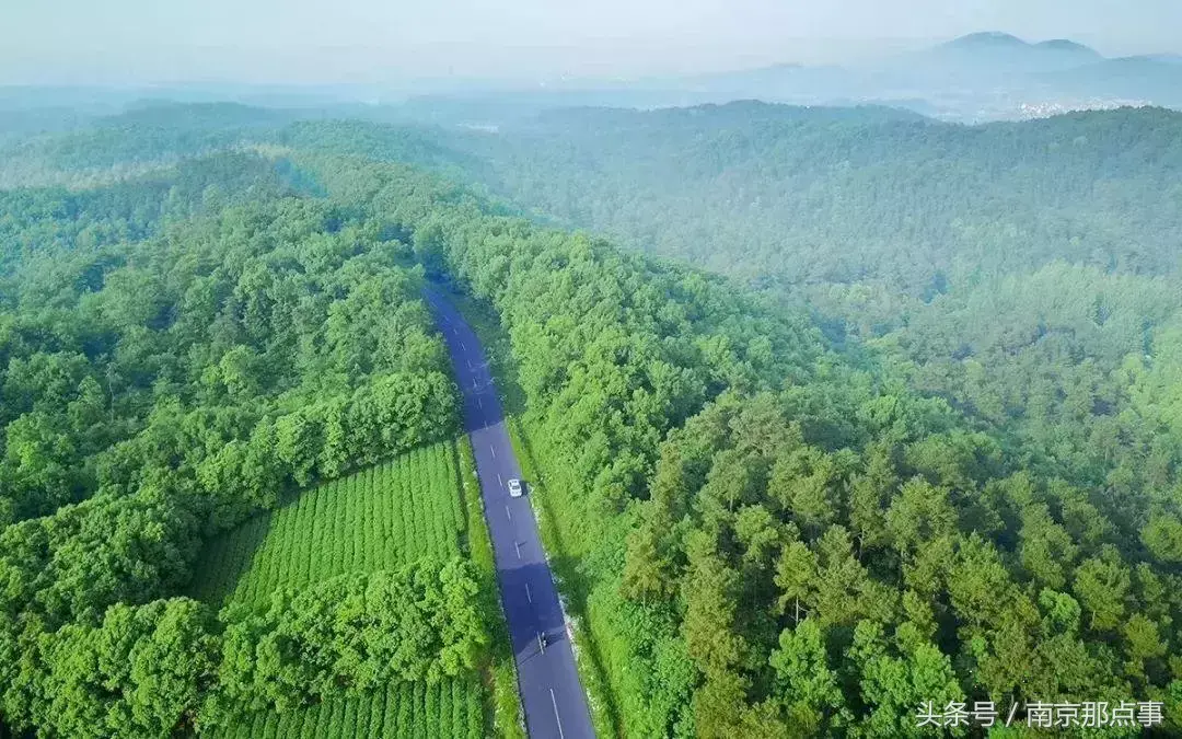 江宁黄龙岘旅游攻略_江宁黄龙岘旅游攻略_江宁黄龙岘旅游攻略