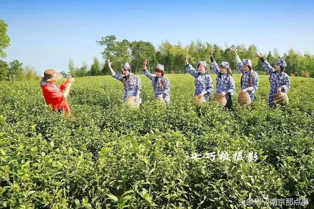 江宁黄龙岘旅游攻略_江宁黄龙岘旅游攻略_江宁黄龙岘旅游攻略