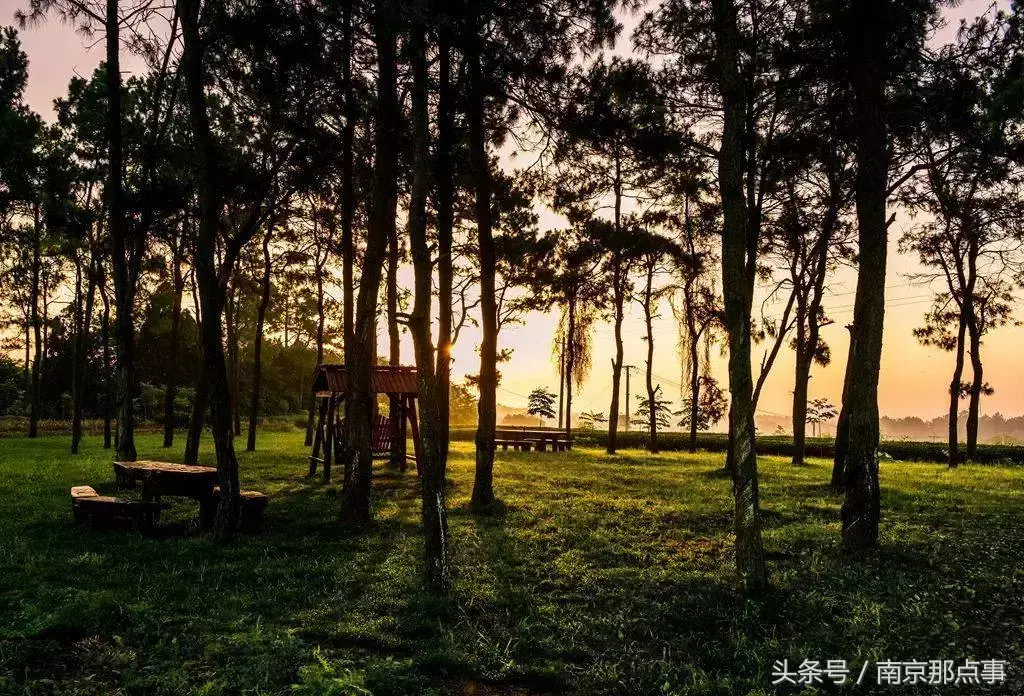 江宁黄龙岘旅游攻略_江宁黄龙岘旅游攻略_江宁黄龙岘旅游攻略