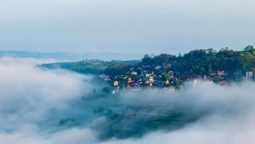 绍兴沈园门票价格_绍兴沈园值得去吗_绍兴沈园旅游攻略