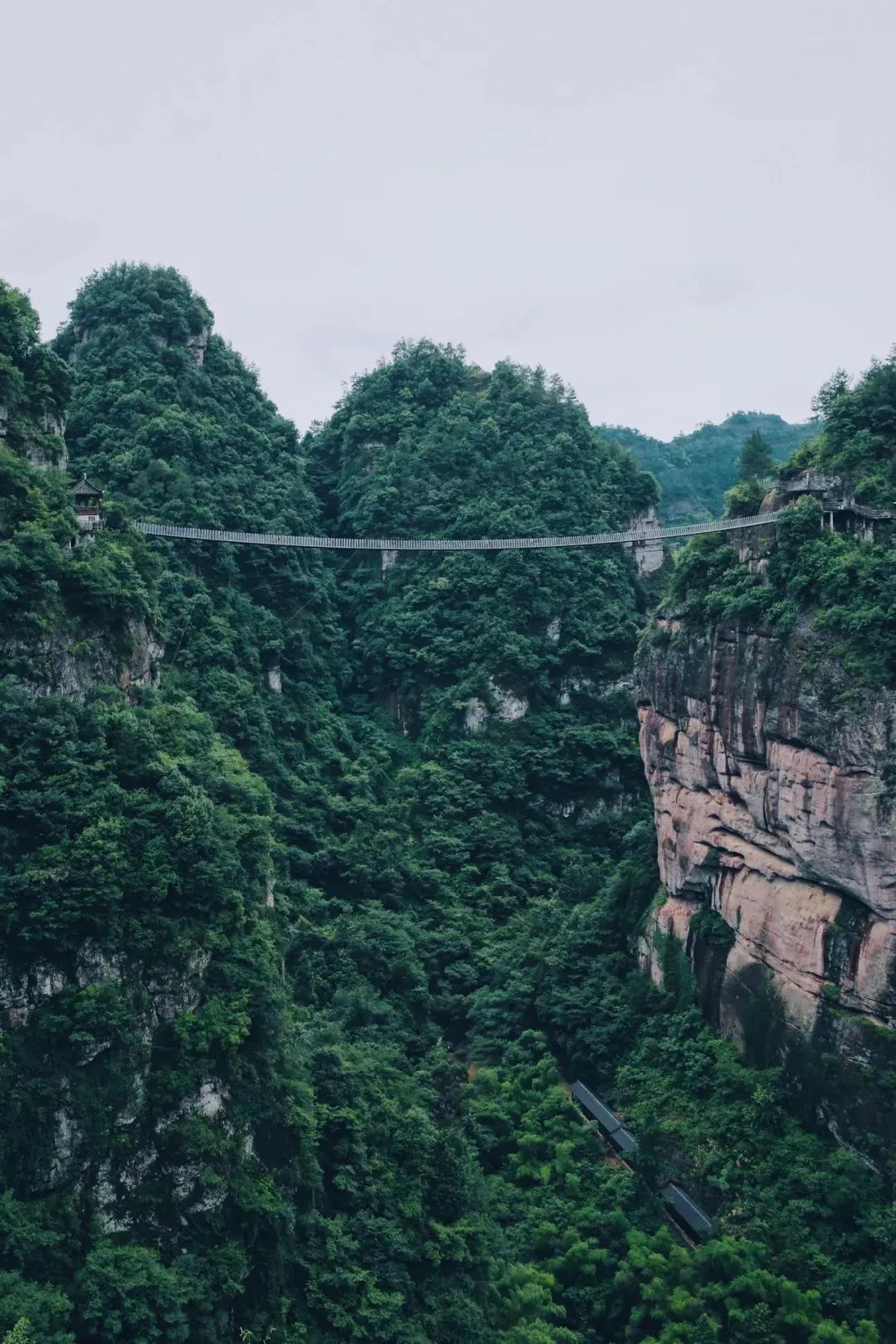 绍兴沈园门票价格_绍兴沈园旅游攻略_绍兴沈园值得去吗