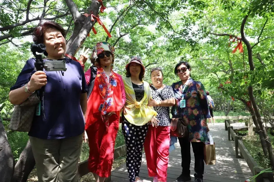 自驾攻略旅游游乐亭路线图_乐亭旅游攻略自驾游_自驾乐亭游玩攻略