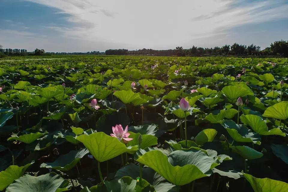 自驾攻略旅游游乐亭路线_自驾攻略旅游游乐亭路线图_乐亭旅游攻略自驾游
