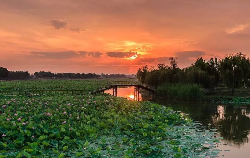 自驾攻略旅游游乐亭路线图_乐亭旅游攻略自驾游_自驾攻略旅游游乐亭路线