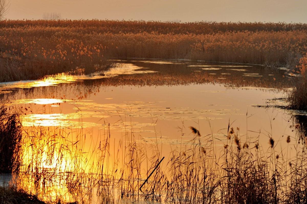 乐亭旅游攻略自驾游_自驾攻略旅游游乐亭路线图_自驾攻略旅游游乐亭路线