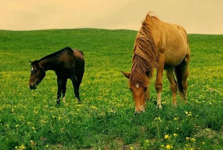 乐亭旅游攻略自驾游_自驾攻略旅游游乐亭路线图_自驾攻略旅游游乐亭路线