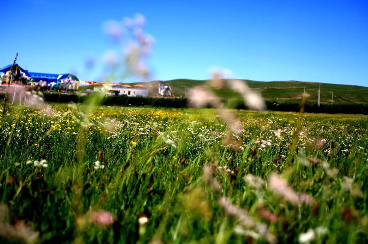 自驾攻略旅游游乐亭路线图_自驾攻略旅游游乐亭路线_乐亭旅游攻略自驾游