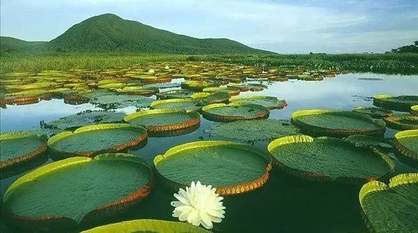 乐亭旅游攻略自驾游_自驾攻略旅游游乐亭路线_自驾攻略旅游游乐亭路线图