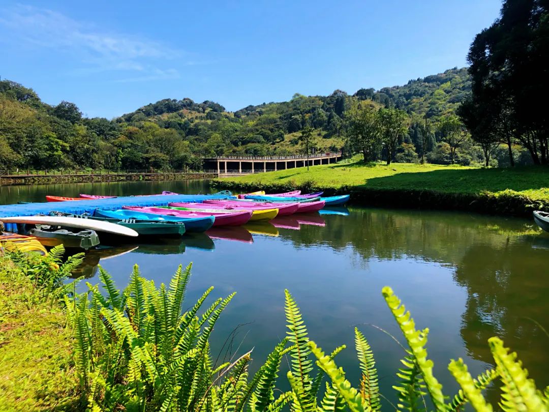 玉林旅游攻略_玉林游玩攻略_玉林攻略旅游路线