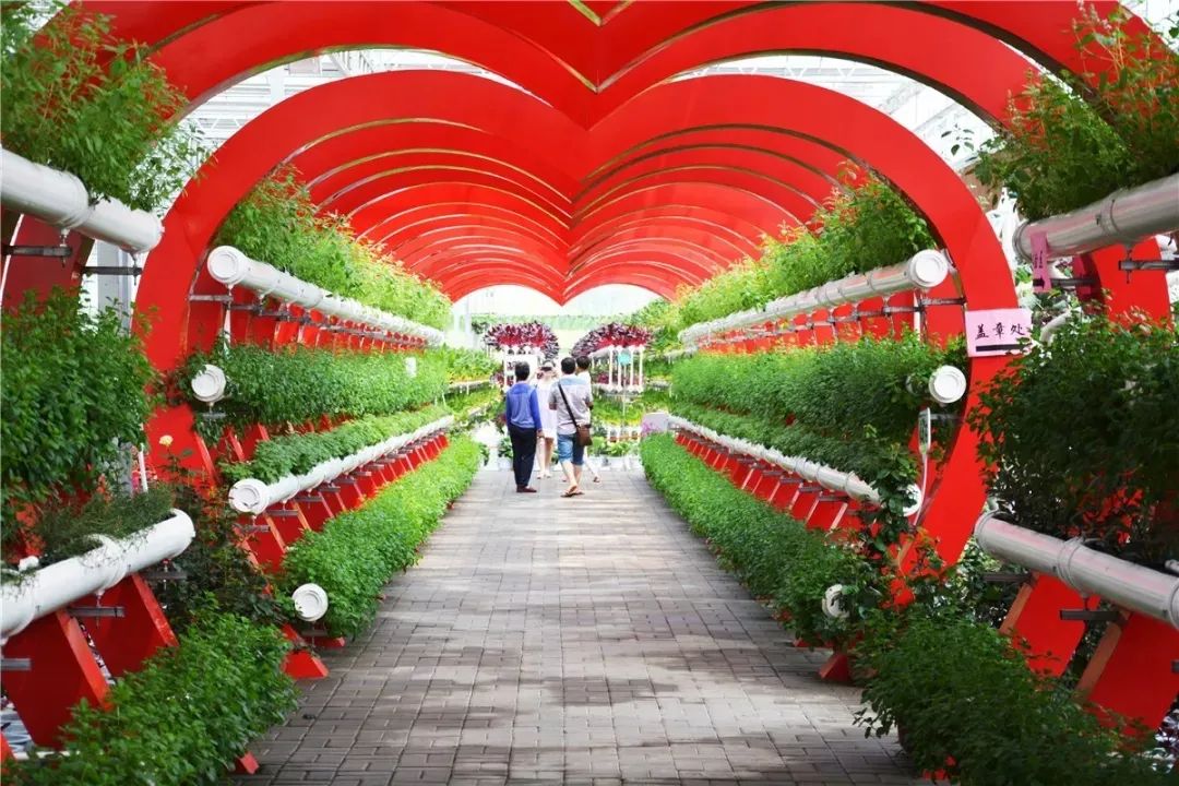 玉林旅游攻略_玉林游玩攻略_玉林攻略旅游路线