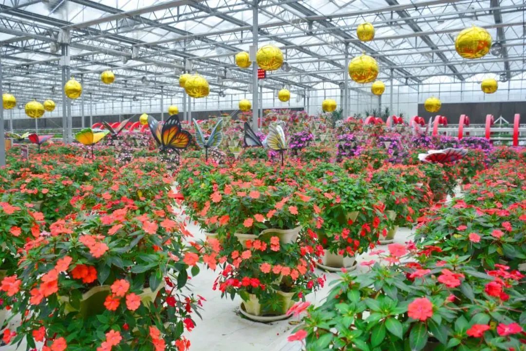 玉林游玩攻略_玉林攻略旅游路线_玉林旅游攻略