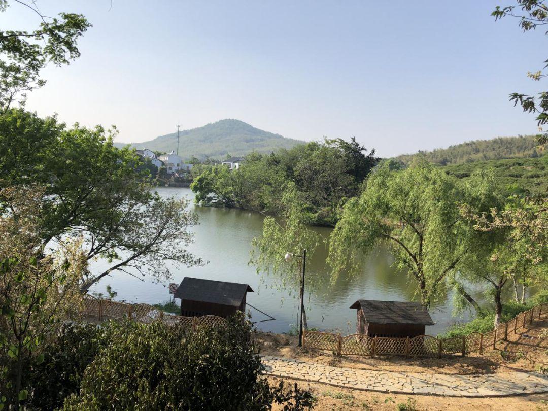 江宁黄龙岘旅游攻略_江宁黄龙岘旅游攻略_江宁黄龙岘旅游攻略