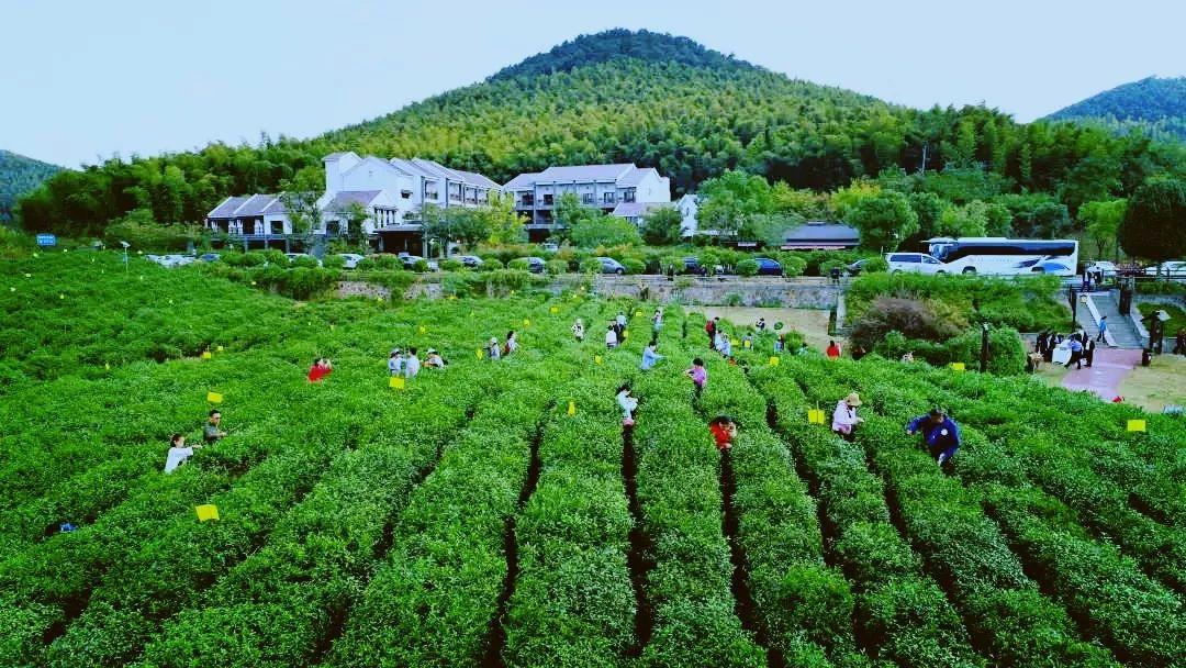 江宁黄龙岘旅游攻略_江宁黄龙岘旅游攻略_江宁黄龙岘旅游攻略