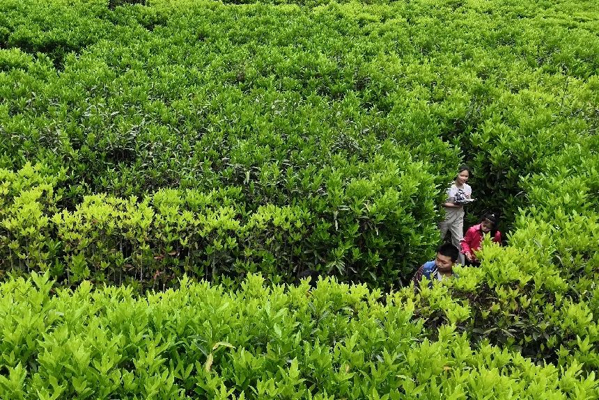 西安太白山景区_西安太白山旅游攻略_西安太白山一日游