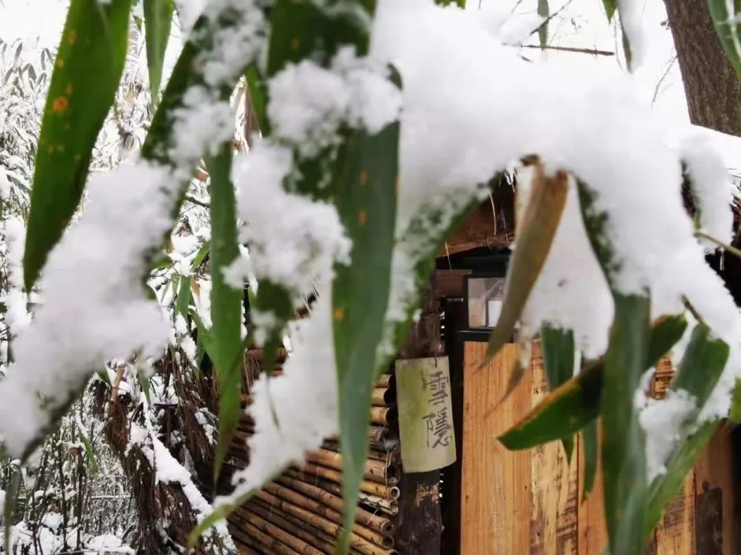 西安太白山旅游攻略_西安太白山景区_西安太白山一日游