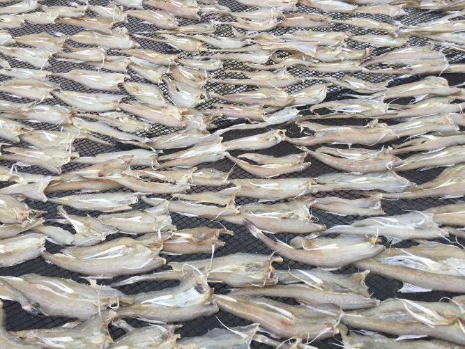 珠海外伶仃岛两日游自驾_珠海外伶仃岛旅游攻略_珠海外伶仃岛自由行二日