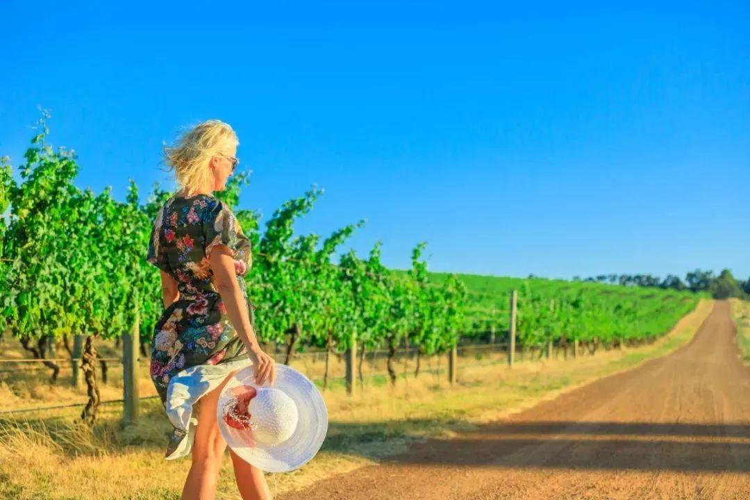 澳大利亚凯恩斯旅游景点_澳大利亚凯恩斯旅游攻略_澳大利亚的凯恩斯