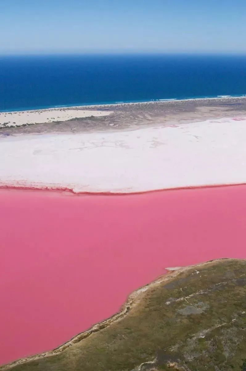 澳大利亚凯恩斯旅游攻略_澳大利亚的凯恩斯_澳大利亚凯恩斯旅游景点