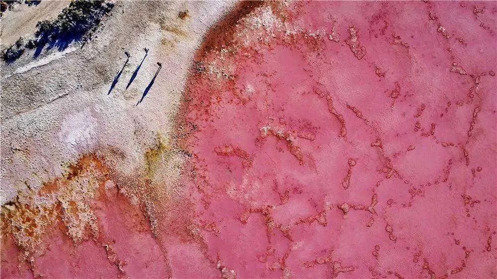 澳大利亚凯恩斯旅游攻略_澳大利亚凯恩斯旅游景点_澳大利亚的凯恩斯