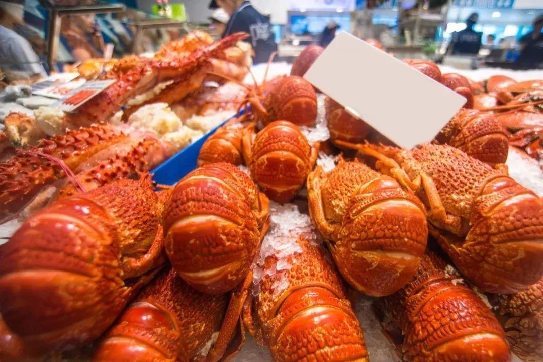 澳大利亚凯恩斯旅游景点_澳大利亚的凯恩斯_澳大利亚凯恩斯旅游攻略