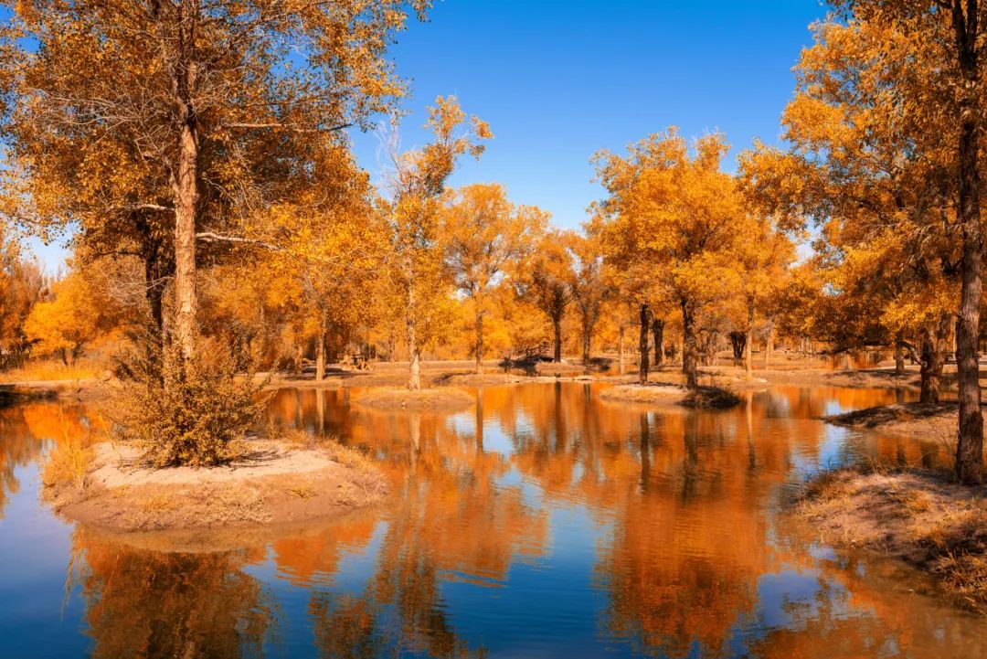 青海湖旅游线路精选_青海湖旅游攻略路线4天_2024青海湖旅游攻略