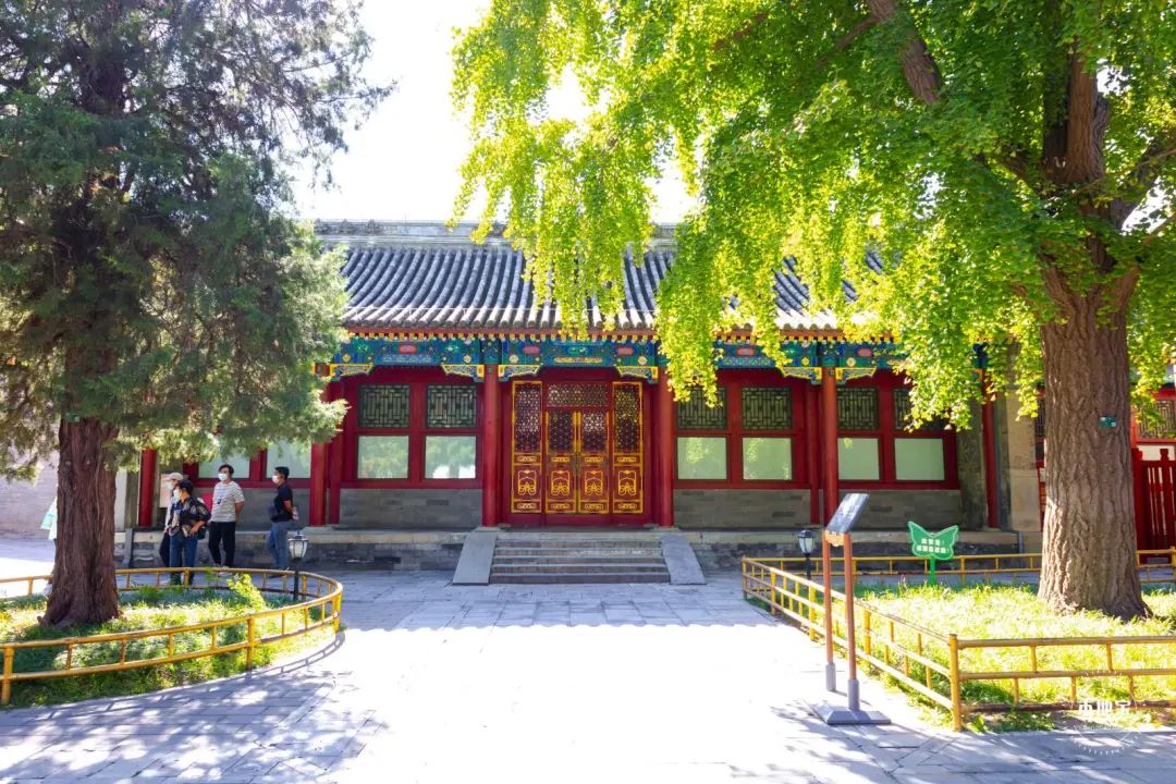 2024青海湖旅游攻略_青海湖旅游线路精选_青海湖旅游攻略路线4天