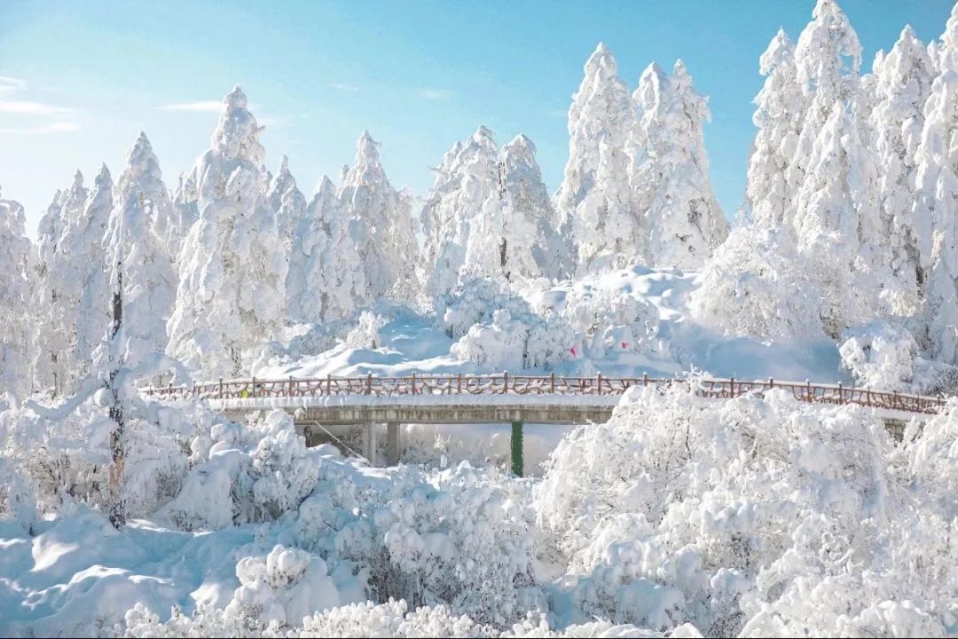 瓦屋山国家森林公园旅游攻略-瓦屋山森林公园视频(图5) 瓦屋山森林公园视频_瓦屋山国家森林公园旅游攻略_瓦屋山国家公园介绍