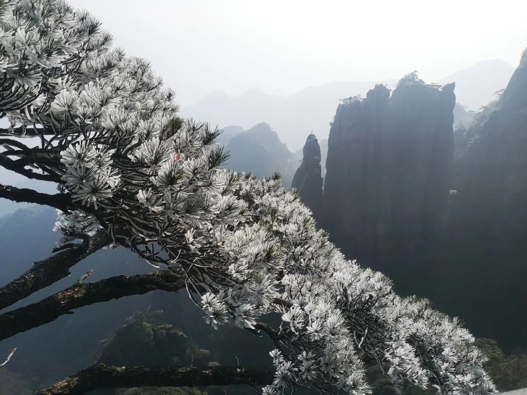 乘火车游三清山旅游攻略-三清山火车票(图9) 三清山有火车站时刻表_三清山火车票_乘火车游三清山旅游攻略