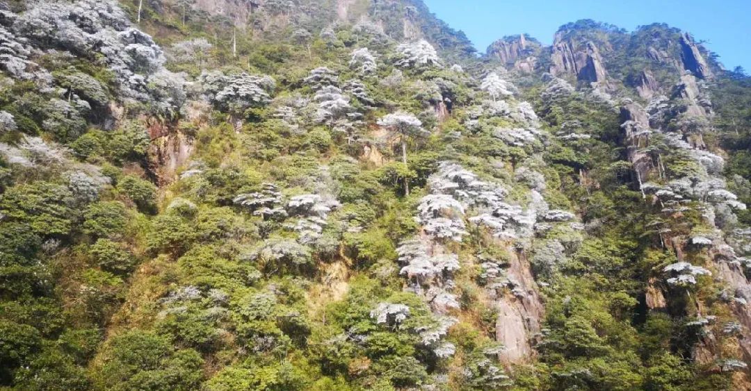 乘火车游三清山旅游攻略-三清山火车票(图24) 乘火车游三清山旅游攻略_三清山火车票_三清山有火车站时刻表