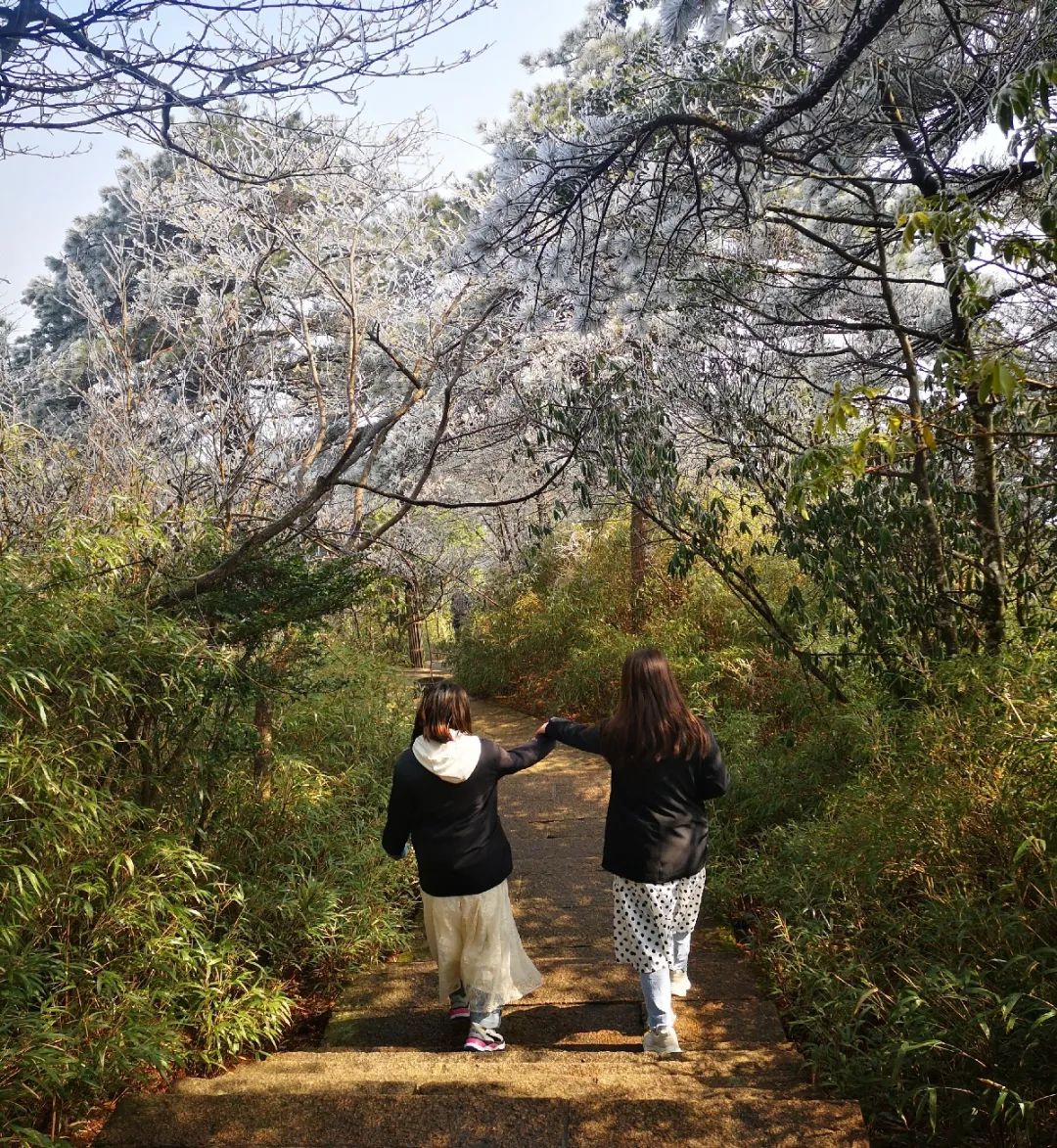 乘火车游三清山旅游攻略-三清山火车票(图31) 三清山火车票_乘火车游三清山旅游攻略_三清山有火车站时刻表