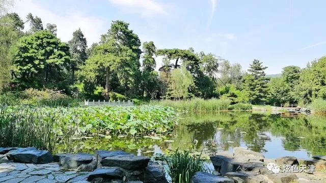 北京香山旅游攻略-北京香山旅游攻略一日游(图26) 北京香山旅游攻略_北京香山旅游攻略一日游_北京香山攻略