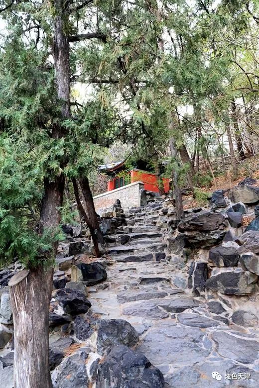 北京香山旅游攻略-北京香山旅游攻略一日游(图39) 北京香山旅游攻略_北京香山攻略_北京香山旅游攻略一日游
