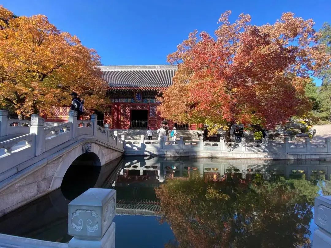 北京香山旅游攻略-北京香山攻略(图5) 北京香山攻略_北京香山旅游景点大全排名_北京香山旅游攻略