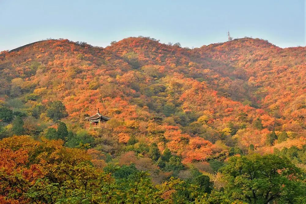 北京香山旅游攻略-北京香山攻略(图6) 北京香山旅游攻略_北京香山攻略_北京香山旅游景点大全排名