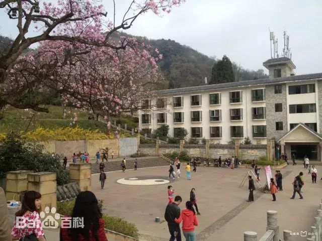 绵阳药王谷旅游攻略-绵阳药王谷几月适合去(图7) 绵阳药王谷几月适合去_绵阳药王谷旅游攻略_绵阳攻略