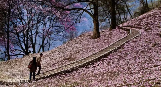 绵阳药王谷旅游攻略-绵阳药王谷几月适合去(图9) 绵阳攻略_绵阳药王谷旅游攻略_绵阳药王谷几月适合去