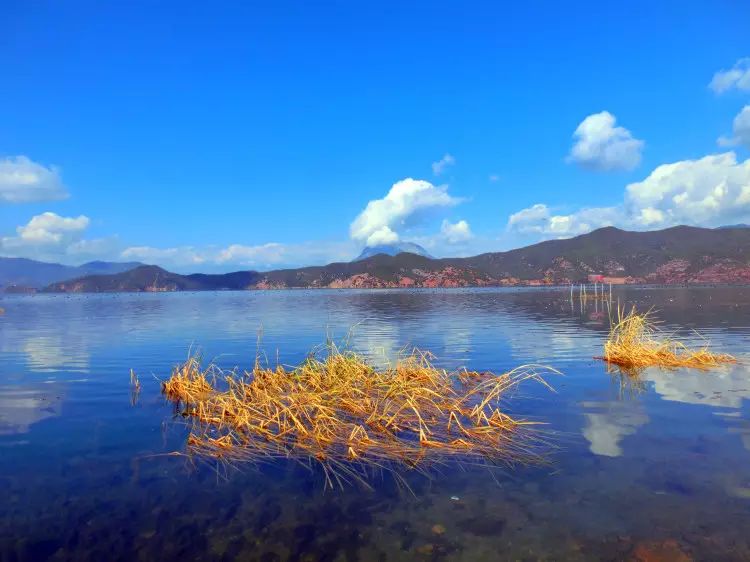 泸沽湖旅游攻略完全版-攻略旅游泸沽湖完全版(图3) 泸沽湖旅游攻略完全版_自由行泸沽湖的攻略_攻略旅游泸沽湖完全版