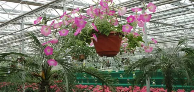 绵阳药王谷旅游攻略-绵阳攻略(图25) 绵阳药王谷几月适合去_绵阳攻略_绵阳药王谷旅游攻略