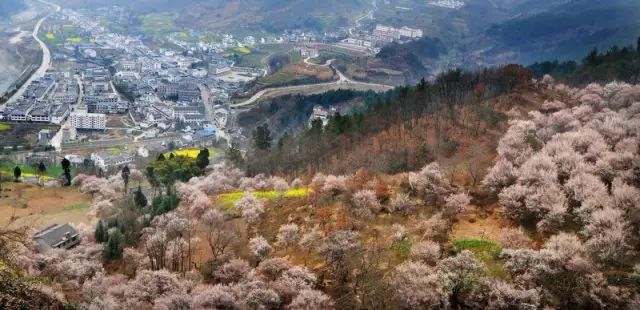 绵阳药王谷旅游攻略-绵阳攻略(图30) 绵阳药王谷旅游攻略_绵阳药王谷几月适合去_绵阳攻略