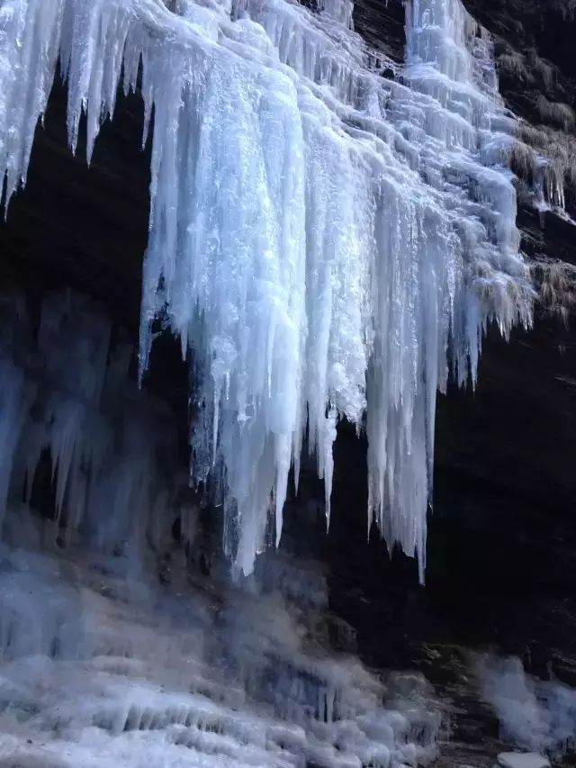 绵阳药王谷旅游攻略-绵阳攻略(图32) 绵阳药王谷旅游攻略_绵阳药王谷几月适合去_绵阳攻略