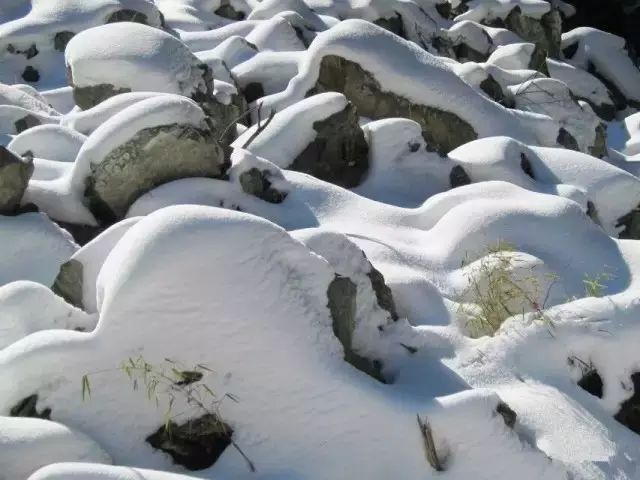 绵阳药王谷旅游攻略-绵阳攻略(图34) 绵阳攻略_绵阳药王谷旅游攻略_绵阳药王谷几月适合去