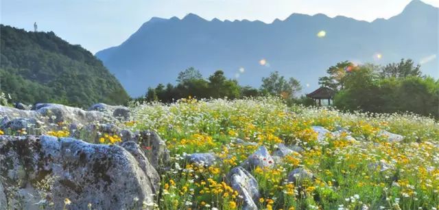 绵阳药王谷旅游攻略-绵阳攻略(图6) 绵阳药王谷旅游攻略_绵阳药王谷几月适合去_绵阳攻略